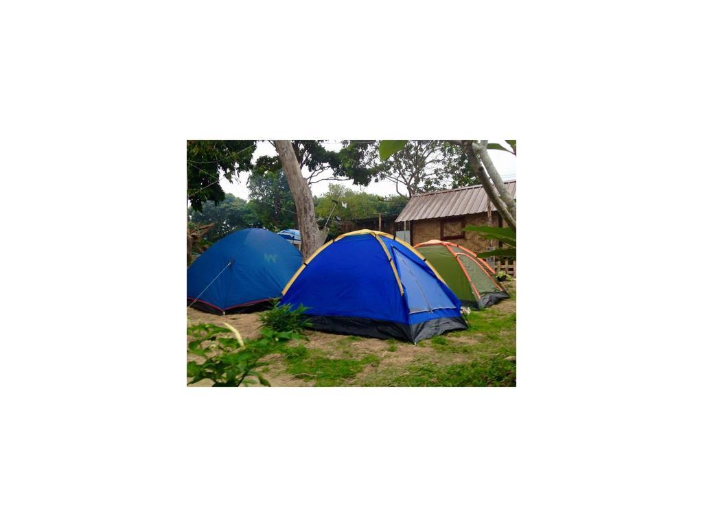 Lipe Camping Zone Room photo