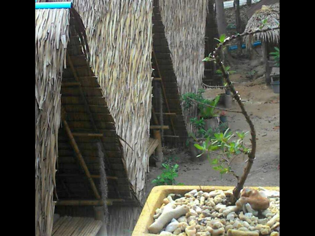 Lipe Camping Zone Exterior photo