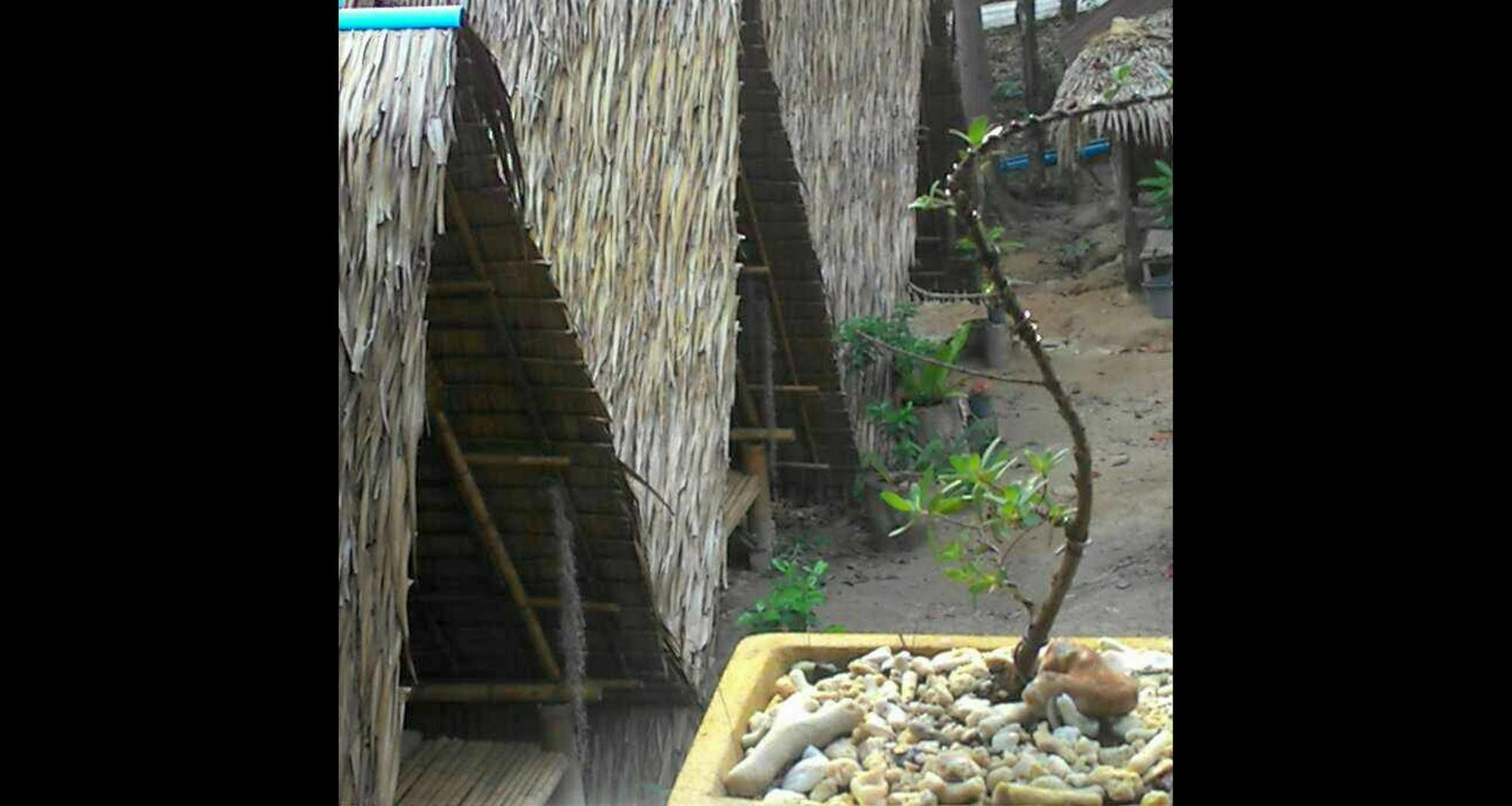 Lipe Camping Zone Exterior photo